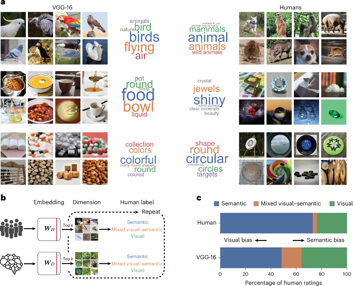 Recovered dimensions for humans and DNN side by side, with example images that score most strongly on each dimension.
